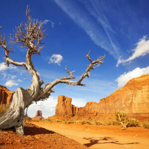 Webinar: Filters for Landscape Photography