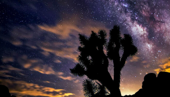 California Photography Workshops - Joshua Tree Night Sky Photography