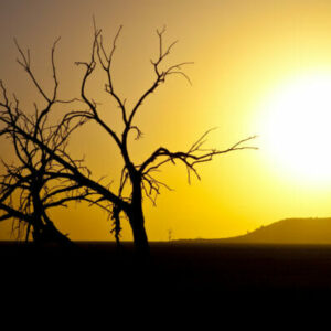 California Photography Workshops - Salton Sea Photography Workshop