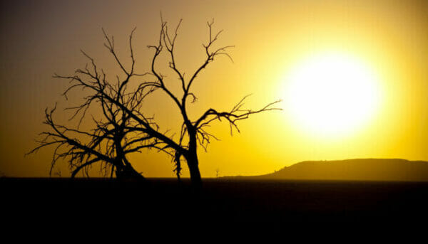 California Photography Workshops - Salton Sea Photography Workshop