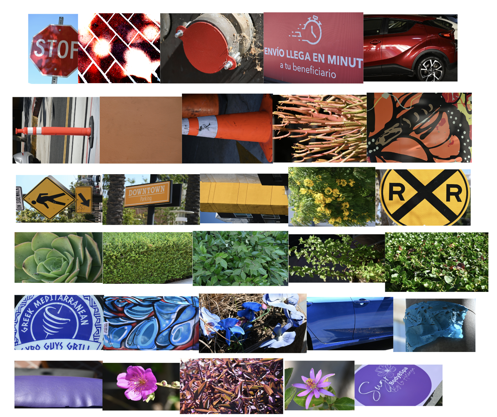 Kids Summer Photography Camp - Image 5