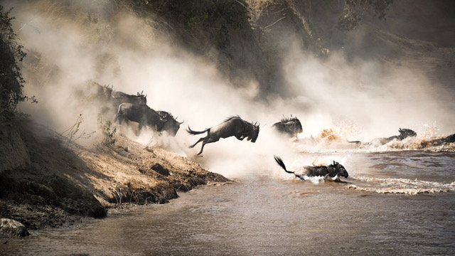 Kenya 2026: 10-Day Migration Safari