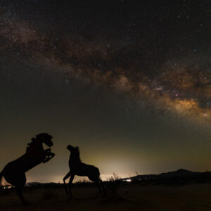 Milky Way Photography Experience for Beginners – Borrego Springs