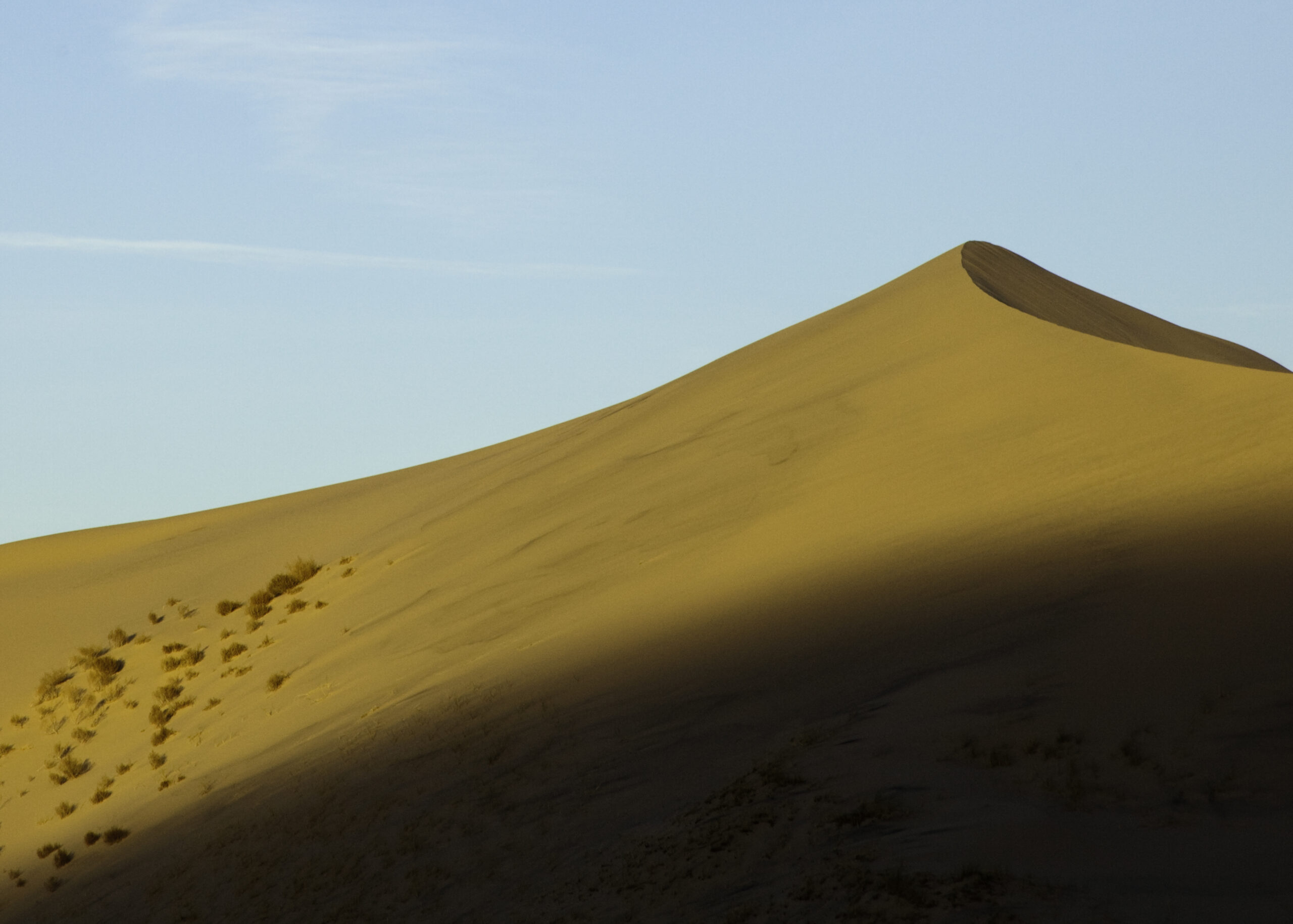 Mojave National Preserve