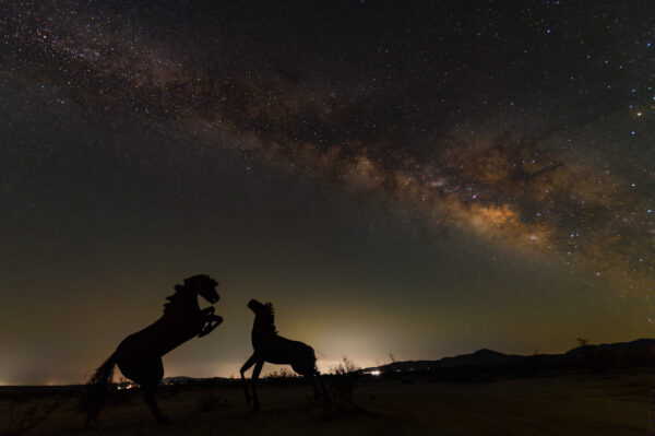 Borrego Springs: Beginners Milky Way & Star Trails Workshop