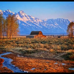 Spring in Yellowstone National Park & The Tetons