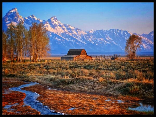 Spring in Yellowstone National Park & The Tetons